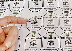 In Decal Quận 10 Giá Rẻ Uy Tín Giao Nhanh