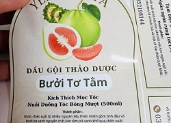 Xưởng In Decal Quận Tân Phú Giá Rẻ In Nhanh 2h