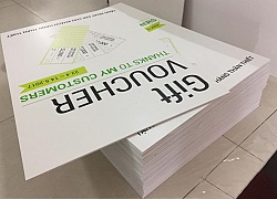 In Formex Quận 6 Giá Rẻ Uy Tín In Nhanh 24/24