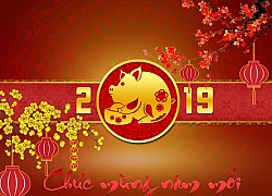 Công ty Thế Giới AD chúc mừng năm mới 2019