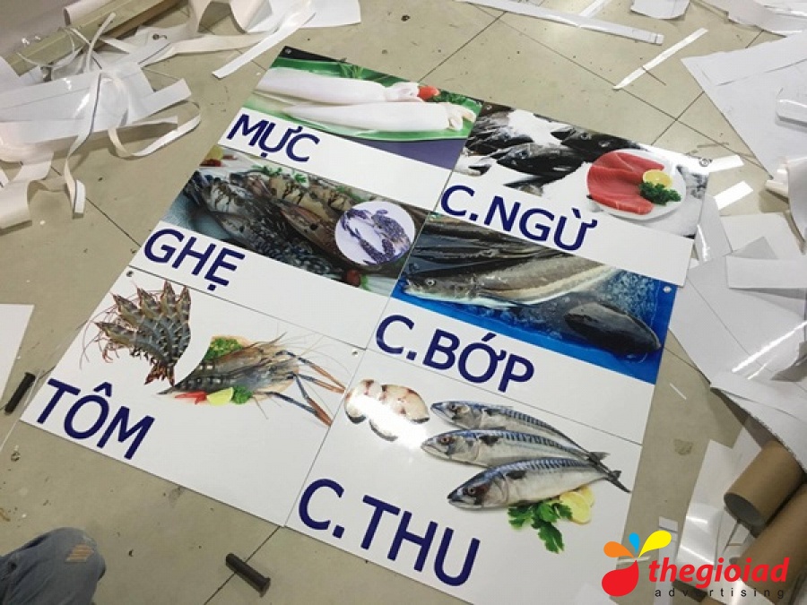 In UV Formex – góc nhìn 4