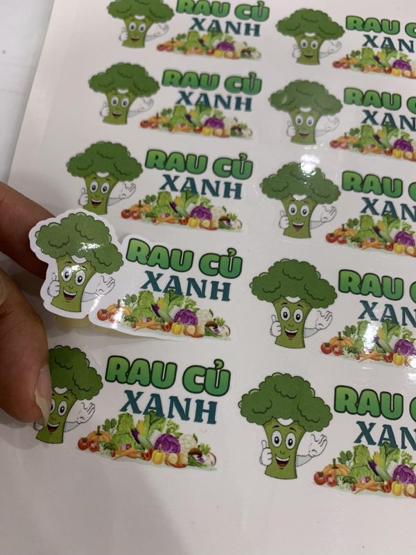 decal tem nhãn