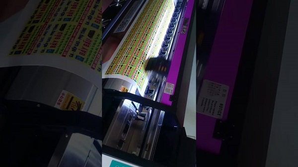 in hiflex quận 12 in hiflex quận 12