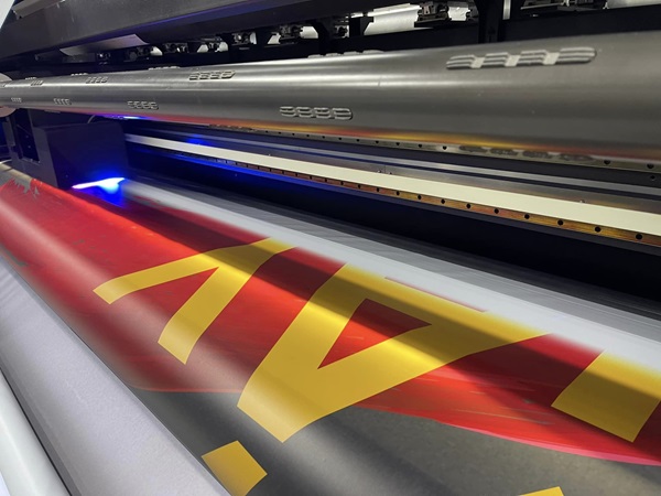 in hiflex tân bình in hiflex tân bình