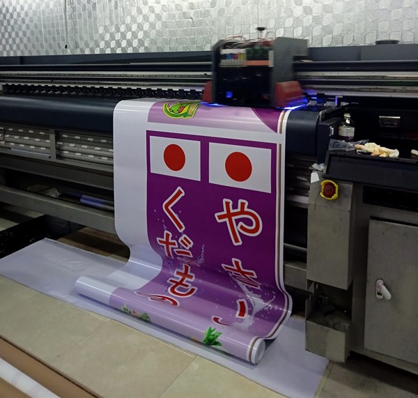 in hiflex tân bình in hiflex tân bình